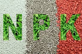 NPK-FERTILIZERS